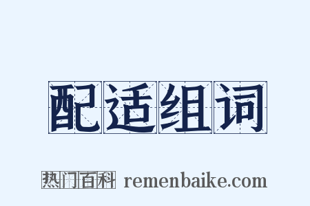 配适组词是什么意思的图片